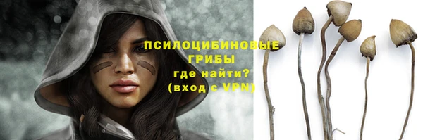 молекула духа Верея