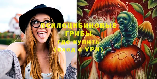 spice Верхний Тагил