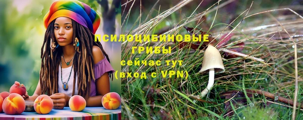 spice Верхний Тагил