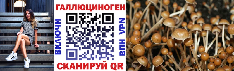 Псилоцибиновые грибы Psilocybe  Купить  Нязепетровск 